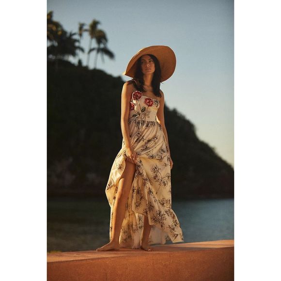 Anthropologie Embroidered Maxi Dress - Picture 1 of 9